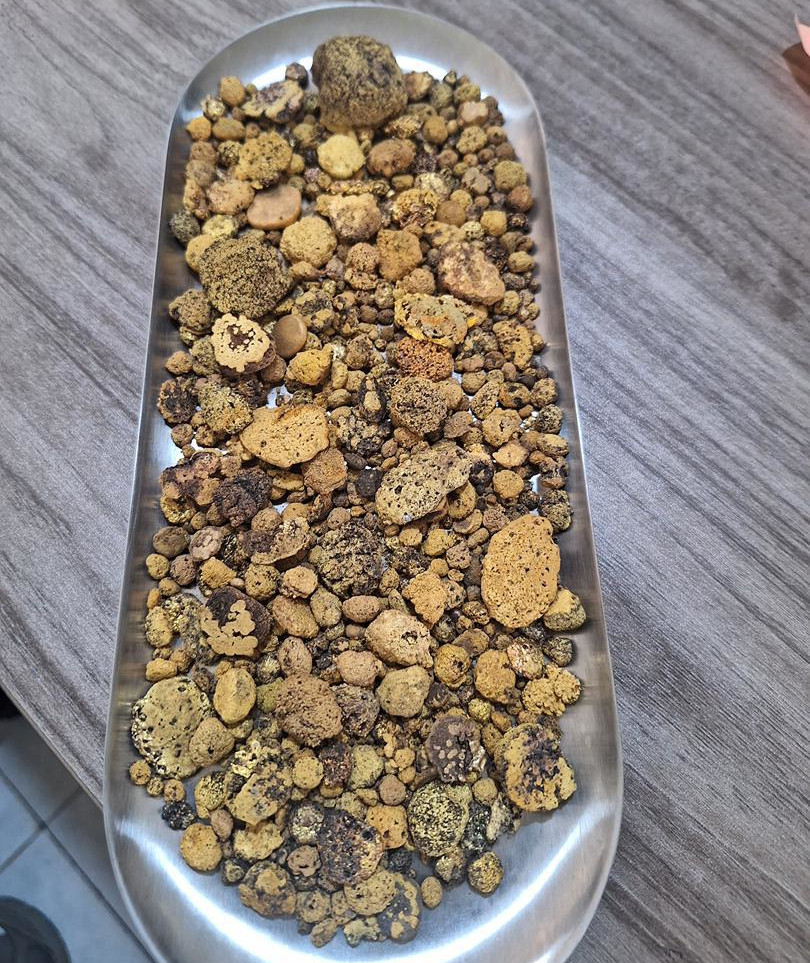 Gold Ore